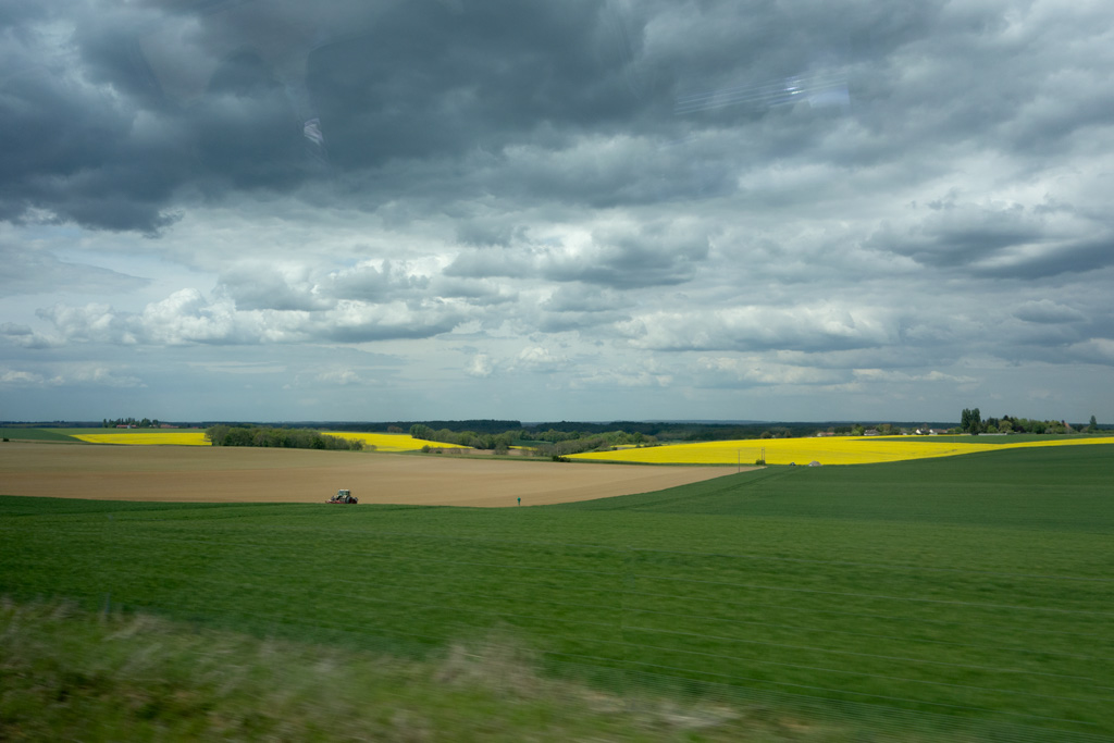 field