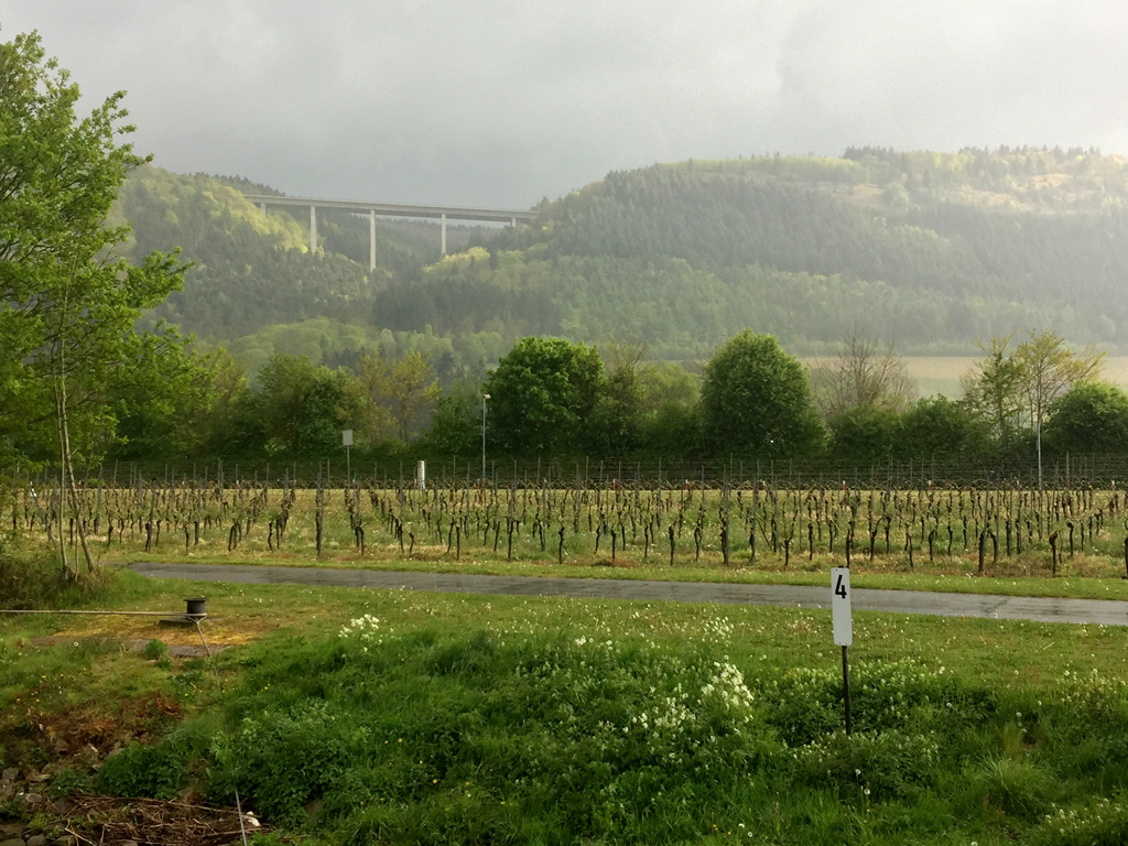 vinyard3