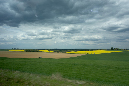 field