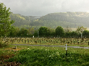 vinyard3