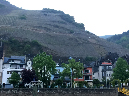 vinyard4