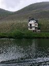 vinyard5