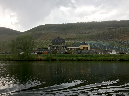 vinyard6