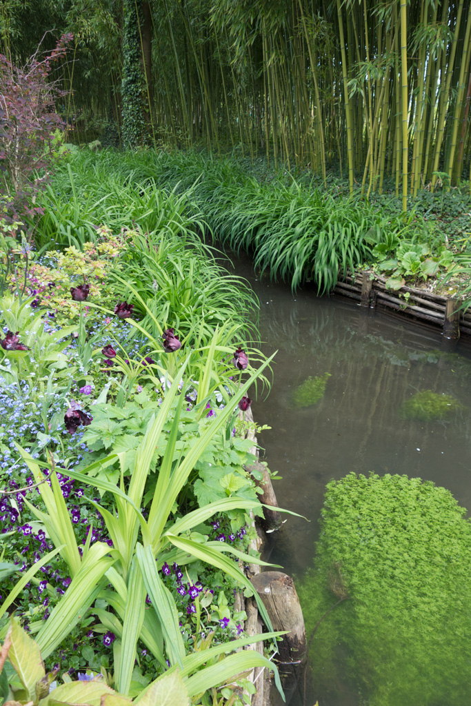 36giverney