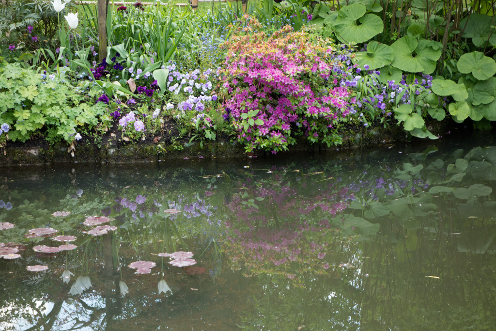 42giverney