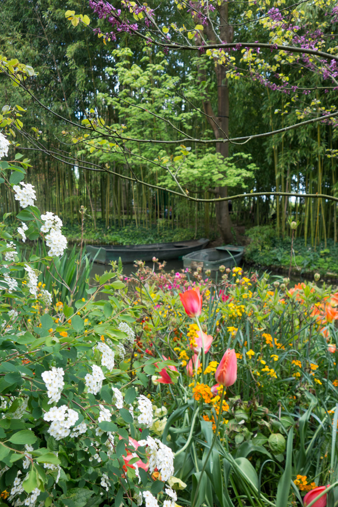 43giverney