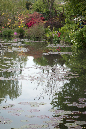 40giverney