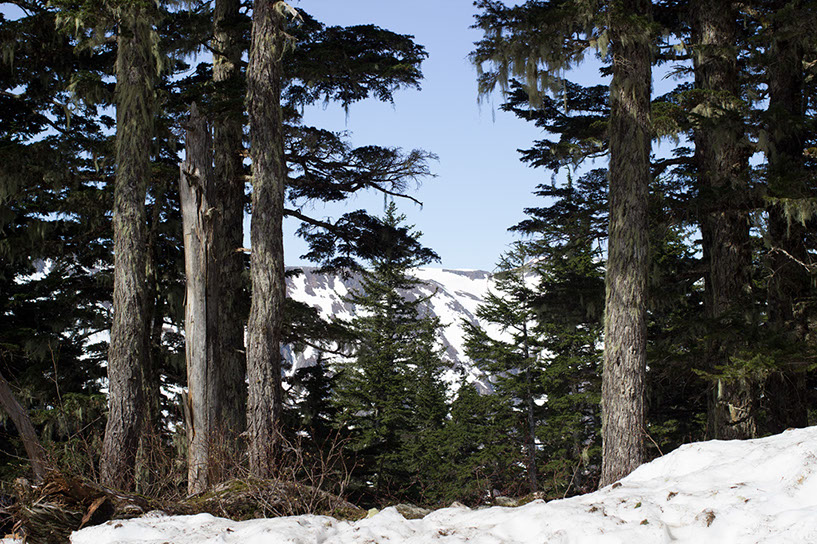 %_tempFileName10ajuneau5a%