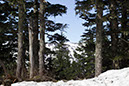 %_tempFileName10ajuneau5a%
