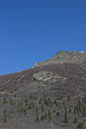 %_tempFileName25denali1%