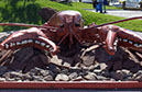 %_tempFileName34charlottetown7%