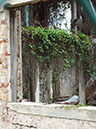 %_tempFileName05jamaica5%
