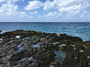 %_tempFileName09cayman2%