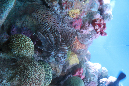jbostonaquarium1