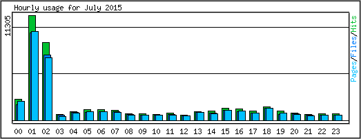 Hourly usage