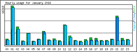 Hourly usage