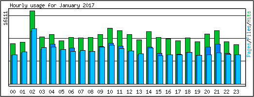 Hourly usage