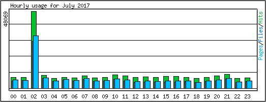 Hourly usage