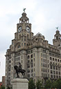%_tempFileName81liverpoolbird%