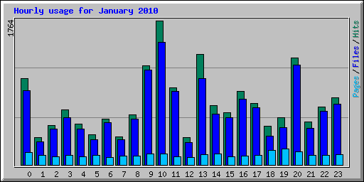 Hourly usage for January 2010