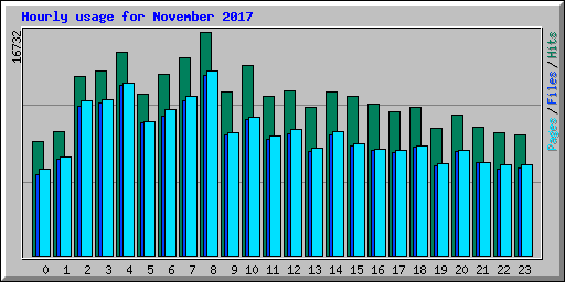 Hourly usage for November 2017