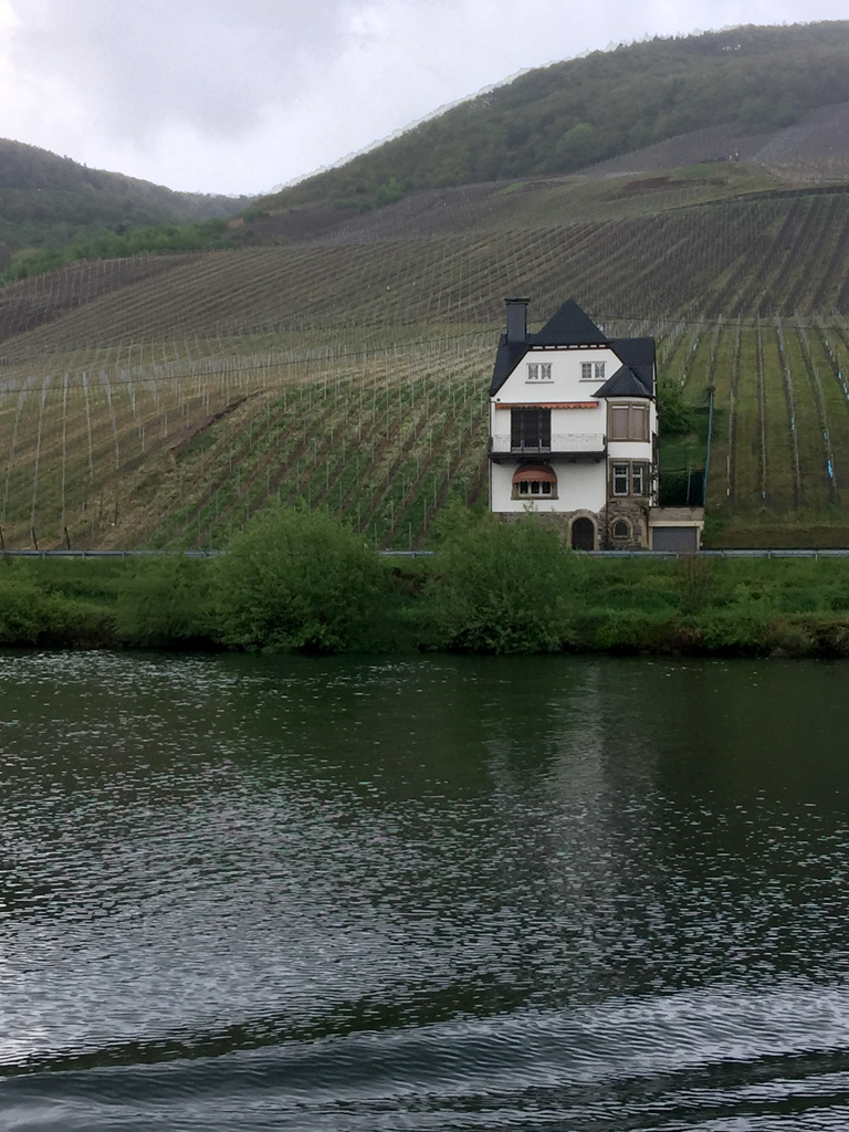 vinyard5