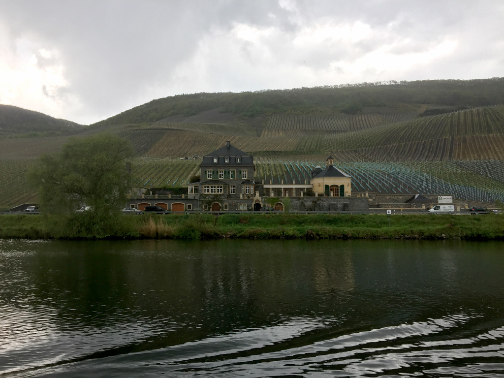 vinyard6