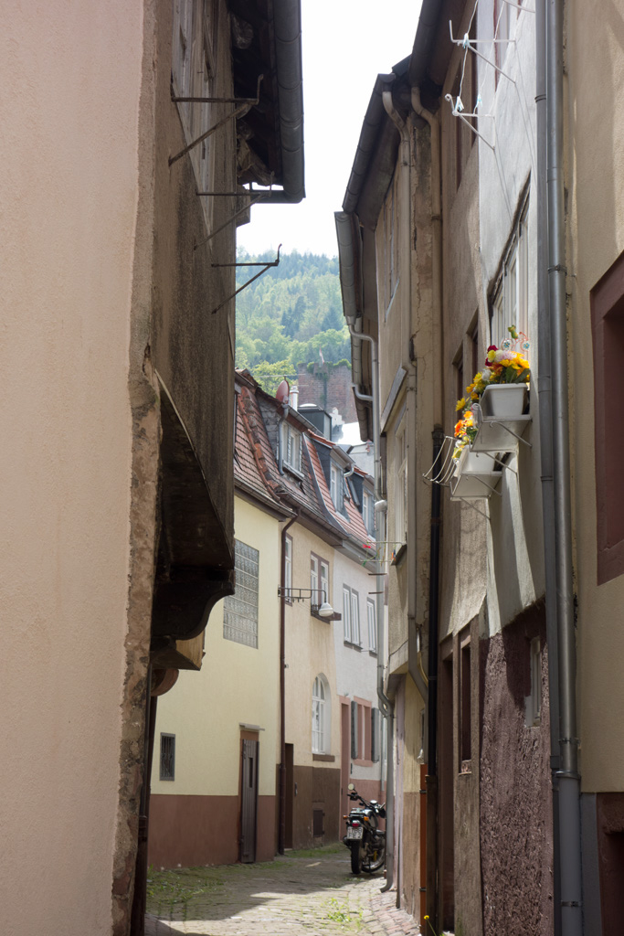 ilten