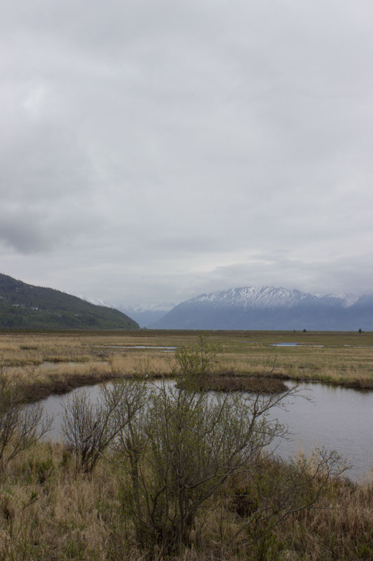 anchorage1