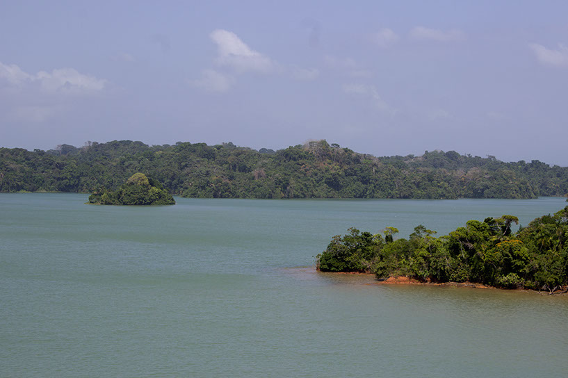 anama7