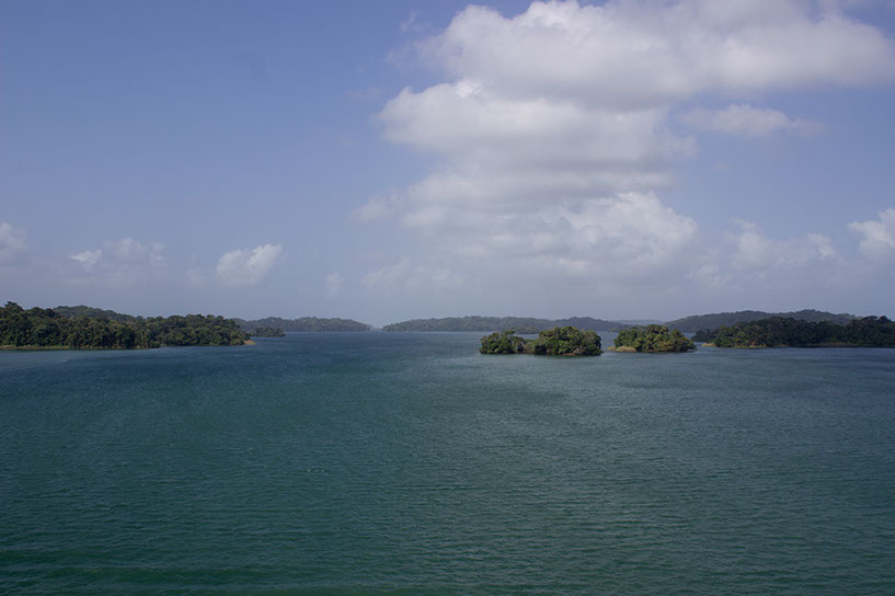anama8