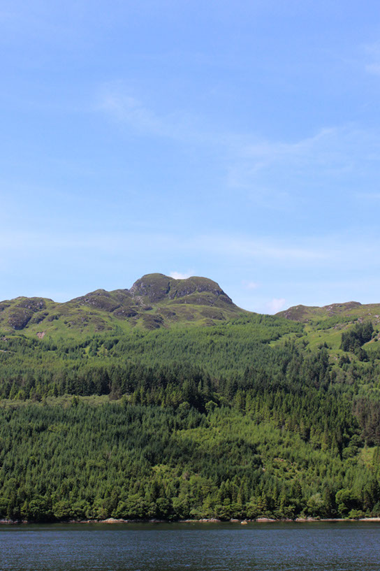 elensborough1