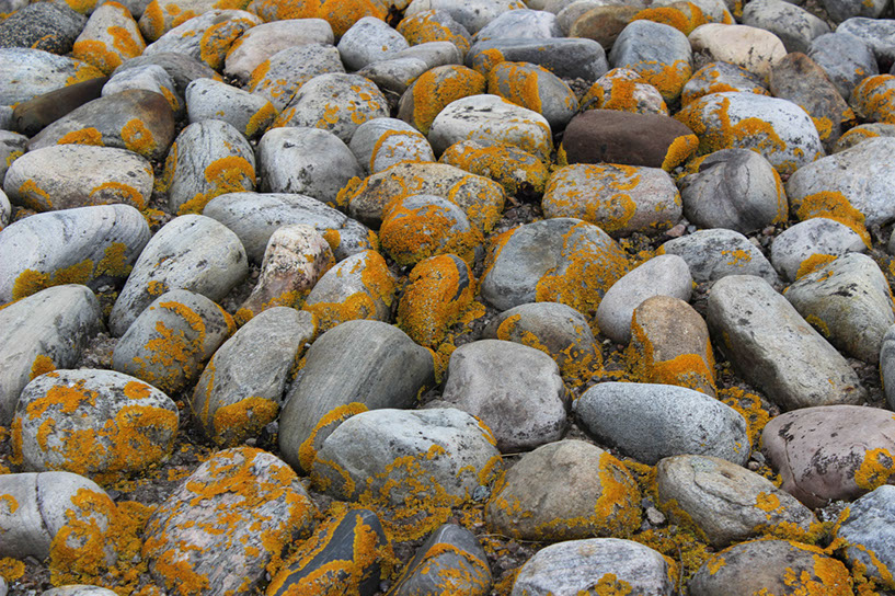 texturerocks